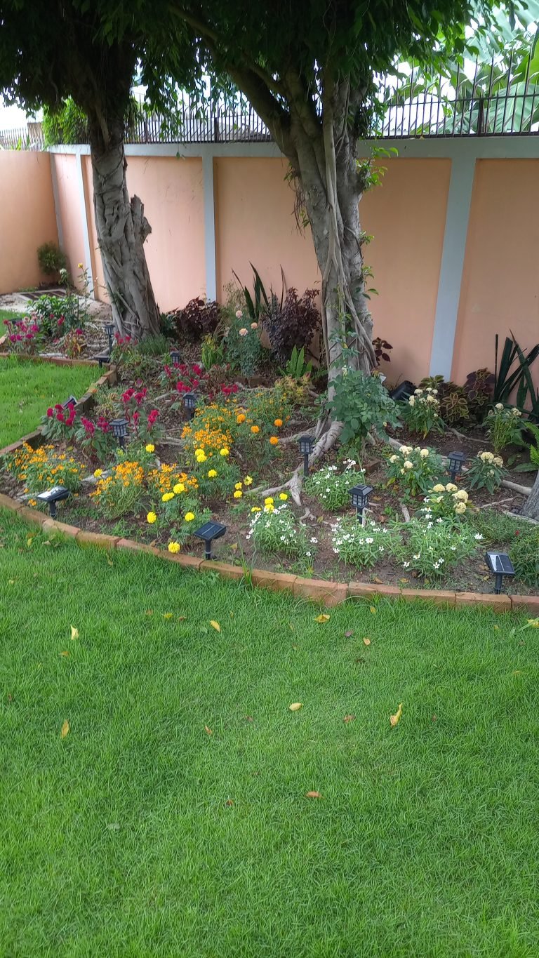 Gardening Services Naklua