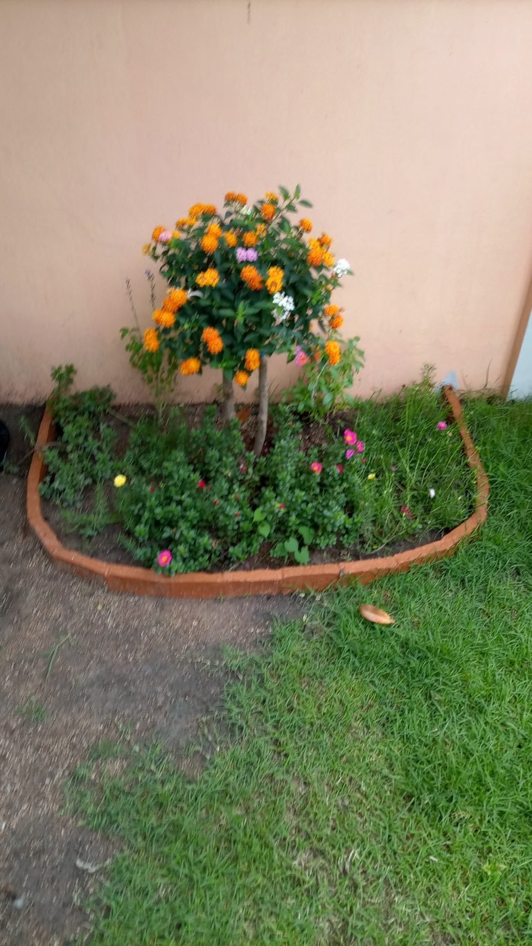 Gardening Services Naklua