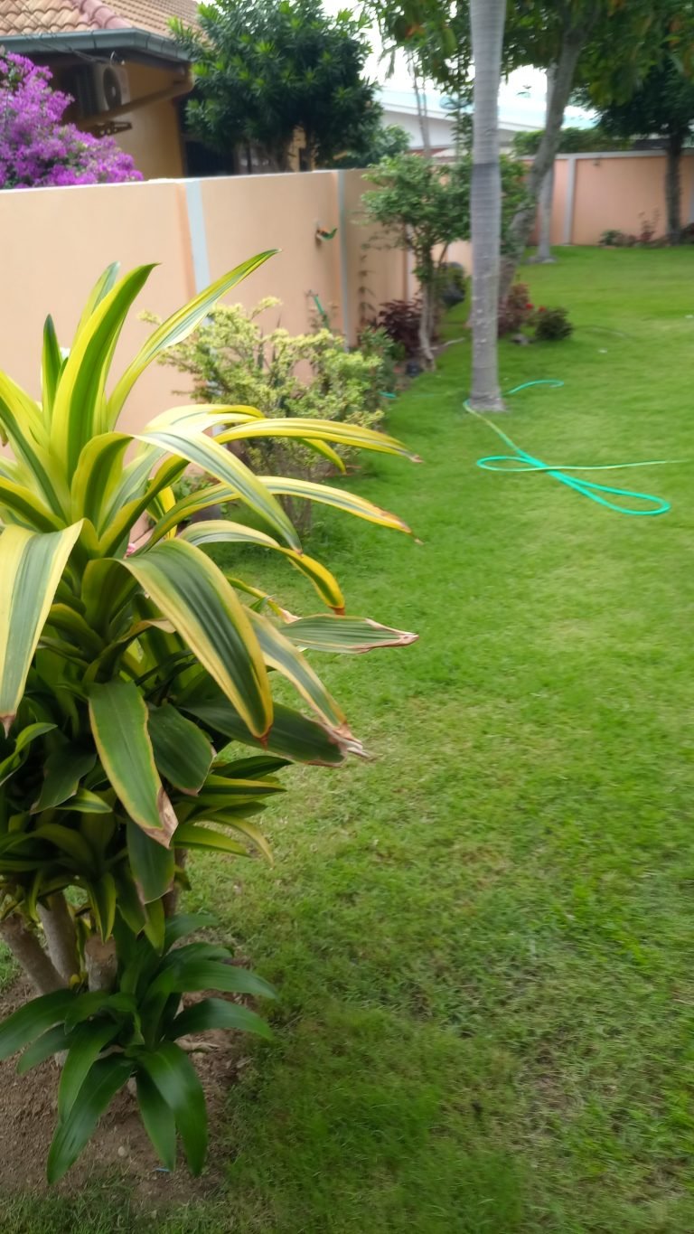 Gardening Services Naklua