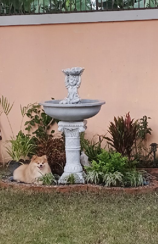 Gardening Services Naklua